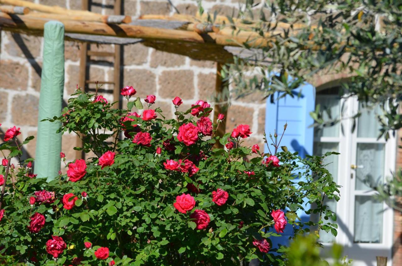 Podere Delle Rose Torre San Severo Exterior photo