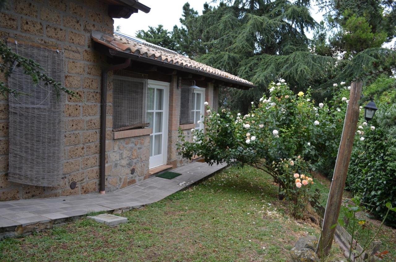 Podere Delle Rose Torre San Severo Exterior photo